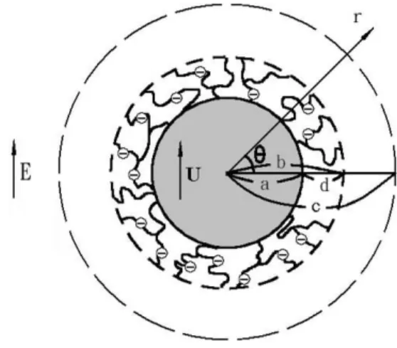 Fig. 1. An electric field E is applied to a concentrated spherical disper- disper-sion of particles, each of them comprises a rigid core of radius a and an ion-penetrable membrane layer of thickness d