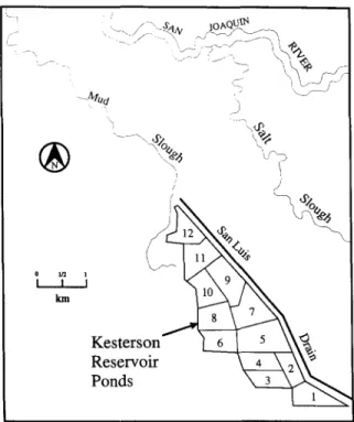 Fig.  2.  Environs of Kesterson  reservoir. 