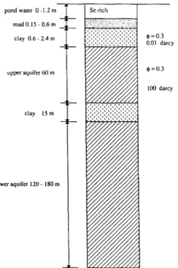 Fig.  3.  Schematic illustration of sediment layering in the vicinity of Kesterson  reservoir