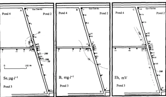 Fig. 6. Lateral distribution  of selenium, boron and Eh in wells 6-12 m deep near the intersection of ponds 2,  3 and  4 in  the  southeastern  portion  of the Kesterson  reservoir