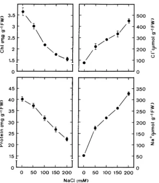Figure 2. Effect of NaCl and 4, 4 ⬘- diisothiocyano – 2, 2⬘- disul- disul-fonic acid (DIDS) on Chl, protein, Na + , and Cl − in detached rice leaves