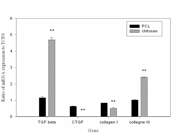 Figure 6. Real-time PCR results illustrated the ratio of mRNA expression of ACL  cells cultured on the PCL (black) and the chitosan (striped)