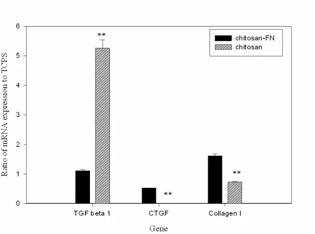 Figure 7. Real-time PCR results illustrated the ratio of mRNA expression of ACL  cells cultured on the chitosan-FN (black) and the chitosan (striped)