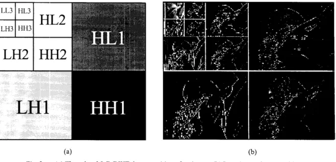 Fig. 2.  (a) Three-level  2-D DWT decomposition  of an image. (b) Lena image decomposition