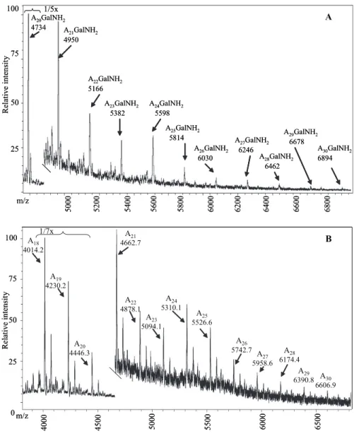 FIGURE 6. The MALDI-TOF mass spectrum of the higher molecular weight arabinan fragments released from M