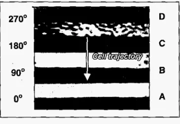 Figure  4  presents  the  averaged cell velocity, obtained  by  tracking  15  cells over  an  uniformly spaced domain, with  variation  in  electrode  gap  at  different  applied  voltages