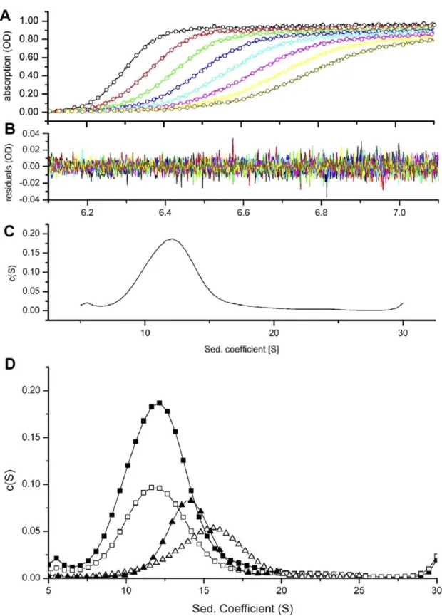 Fig. 9. Analytical ultracentrifugation analysis of FaB and PaB. (A) Trace of absorbance at 280 nm during sedimentation (line) and from fitted data (circle) of non-preheated FaB