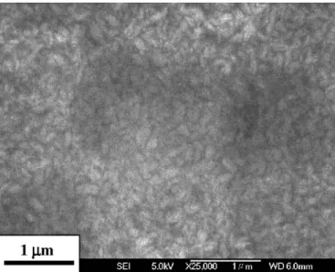 Fig. 2. An SEM image of sample B.