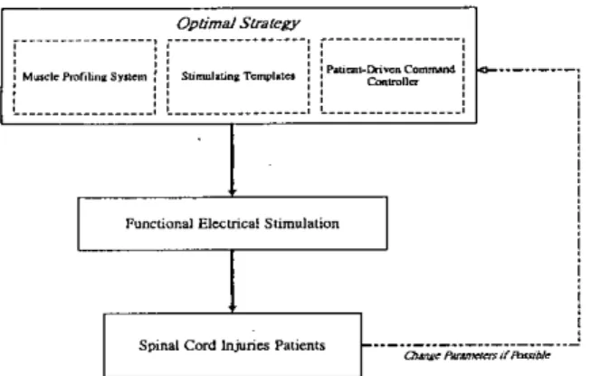 Fig.  I .   Optimal strategy for functional  electrical  stimulation system 