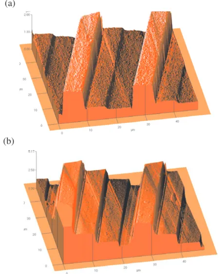Figure 6. Atomic force microscopy (AFM) photographs of the CMOS four-phase-level gratings (a) before and (b) after silicon dioxide etching.