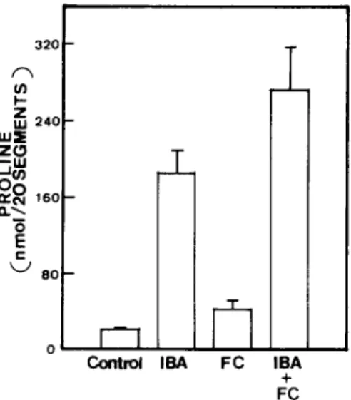 Fig. 3.  Effect of fusicoccin (FC) and  isobutyric acid (IBA)  on  proline  content  in  detached  rice  leaves