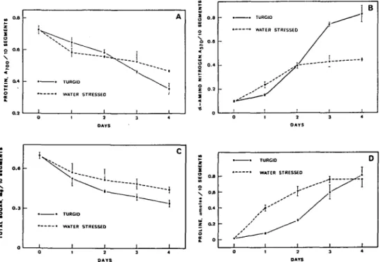 Fig. 2 Changes with time in the protein (A), a-amino nitrogen (B), total soluble sugar (C) and proline content (D) of detached rice leaves under turgid and water-stressed conditions