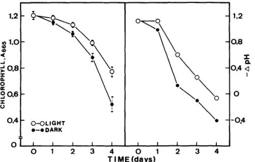 Fig.  2.  C h a n g e s   of chlorophyll  content  and  H ÷ secretion  of detached  rice  leaves  incubated  in  distilled  water  under  dark and  light  conditions