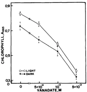 Fig.  3.  Effect  of  different  concentrations  of  ammonium  v a n a d a t e   (pH  5.5)  on  chlorophyll  content  in  detached  rice  leaves  after  4  days  in  the  light  or  3  days  in  darkness