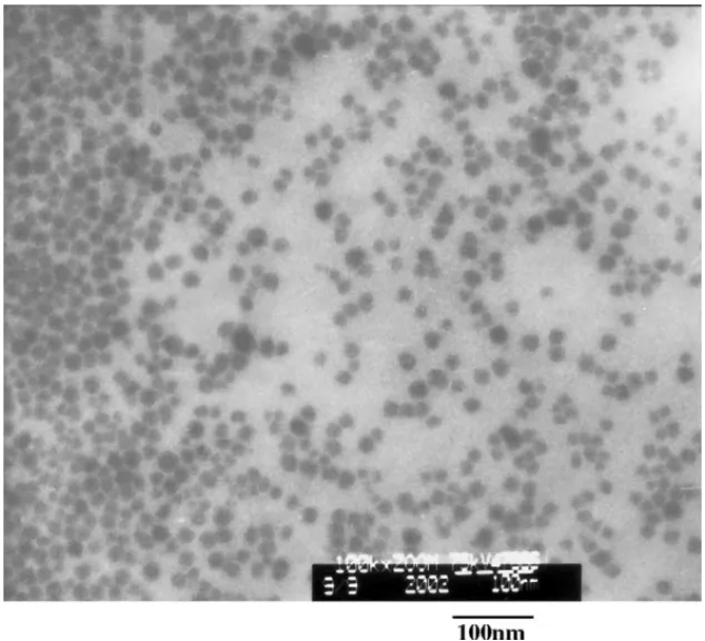 Fig. 4. TEM diagram of colloidal MSMA–SiO 2 for HS10 (silica size: 15–20 nm).