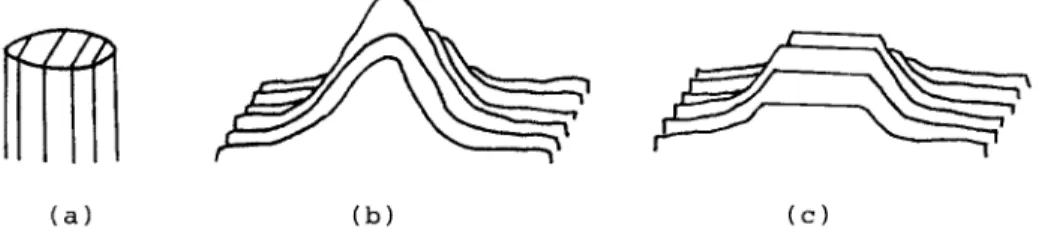 Fig. 2. Example of gray-level image morphology.  (a)  Disk shaped structuring element