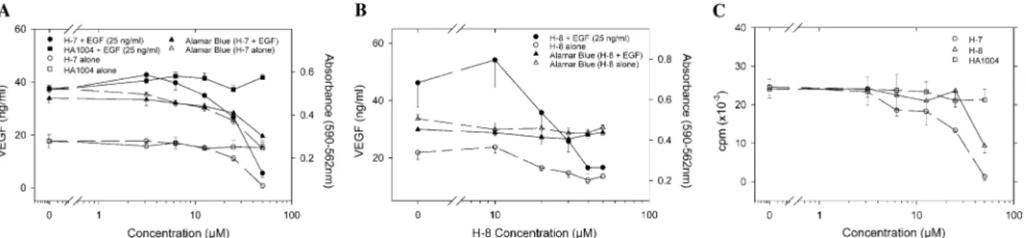 Fig. 3. PKC inhibitors inhibited both baseline and EGF-induced VEGF secretion in U-105MG cells as well as DNA synthesis