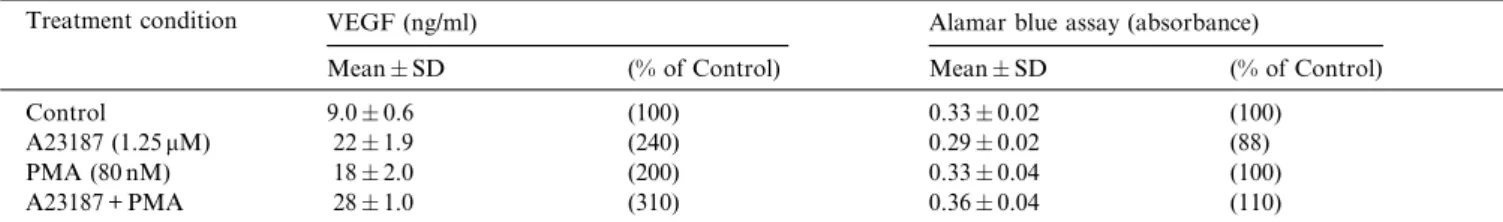 Fig. 5. Down-regulation of PKC by PMA pretreatment blocked PMA- PMA-induced VEGF secretion in U-105MG cells