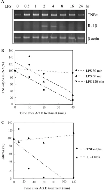 Fig. 1. The mRNA expression proﬁling of TNFa and IL-1b by LPS in RAW264.7 cells. (A) RAW264.7 macrophages were treated with 100 ng/