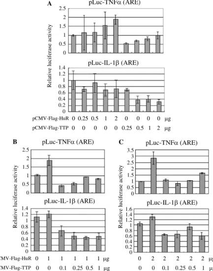 Fig. 5. Functional characterization of HuR and TTP mediated ARE-containing mRNA expression