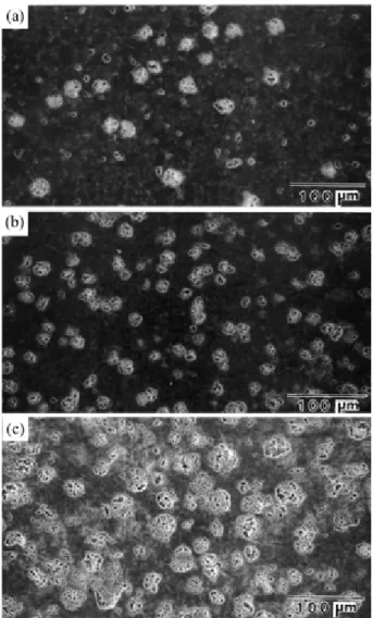 Fig. 1.  SEM micrographs of sintered (a) HCA 1.9 , (b) HCA 3.7  and (c) HCA 7.3 .