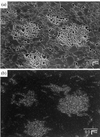 Fig. 3.  (a) SEM micrographs and (b) imaged by X-ray mapping of DCA 3  samples (c) sintered Al 2 O 3 .
