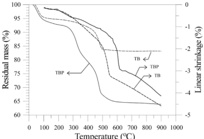 Fig. 1. DTA curves of as-dried TB, TBP, boehmite, and PVP, tested at a rate of 10  C/min.