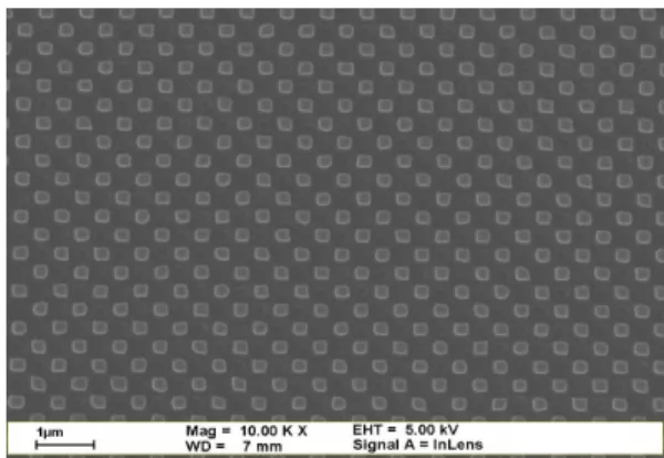 Fig. 2: SEM image of photoresist pattern made by Immersion Interference PhotoLighography (IIPL)