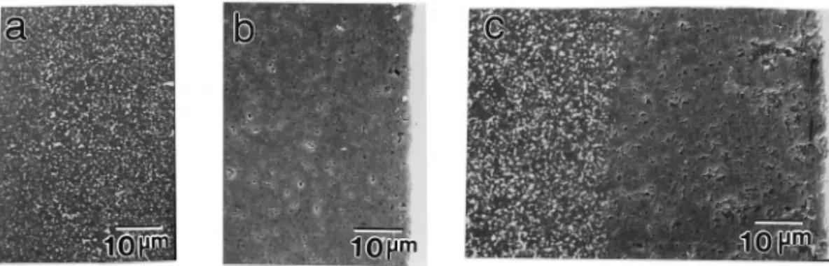 Figure 8 is a long-period trace of the oxidation of the composites. There could be a factor influencing the oxidation of Mo grains far from the surface