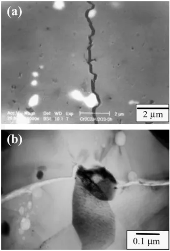 Fig. 10. SEM micrographs of the fracture surfaces of Cr 3 C 2 /Al 2 O 3
