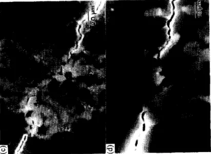 Figure 8. SEM micrographs of crack morphology around the Vicker’s indentation for 20  vol.% Mo/Al203 composites fabricated by spray-drying: (a) entire indentation, (b) propaga-  tion of crack, (c) 10 vol.% Mo/AlzO3 composite prepared by hot-plate drying, a