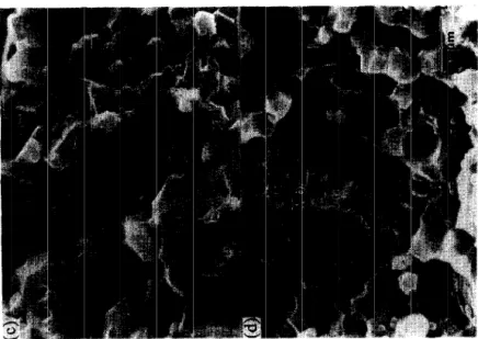 Figure 9. SEM micrographs of the fracture surfaces of MO/!&amp;&amp; composites hot pressed at  1400QC for 1 hr in vacuum: (a) 0 vol.%, (b) 5 vol.%, (c) 10 vol.%, and  (d) 20 vol.% MO content