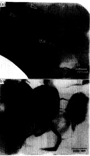 Figure  4.  TEM  micrographs  of  (a) intragranular  MO inclusions  in  Al203  of  1 vol.% 