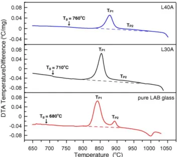 Fig. 2. SEM micrographs by back-scattered electron (BSE) imaging showing the component distribution and crystal phases of L30A sintered at (a) 800 ◦ C/1 h and (b) 800 ◦ C/1 h–850 ◦ C/10 min in air at a heating rate of 10 ◦ C/min.