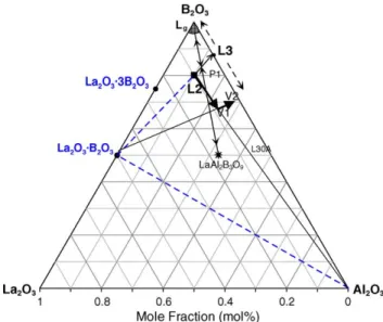 Fig. 15. Crystallization paths of LaBO 3 and LaAl 2 B 3 O 9 phases in the ternary La–Al–B–O system.