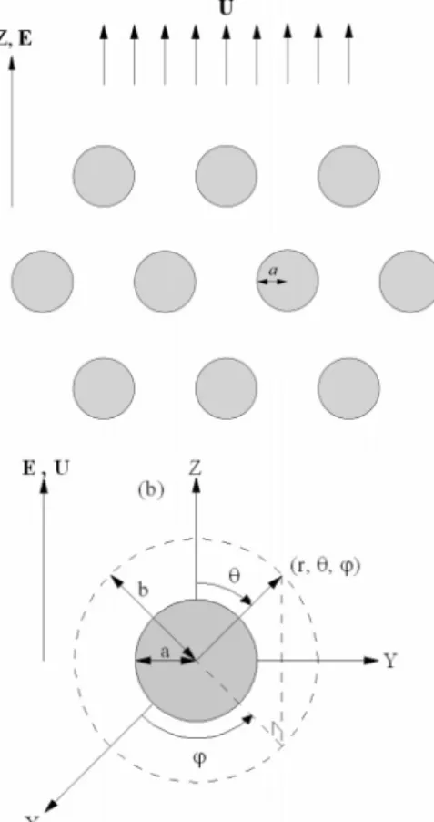 Figure 1. (a) Problem considered where an electric field E in the Z-direction is applied to a dispersion of spherical polyelectrolytes of radius a, and U is the electrophoretic velocity