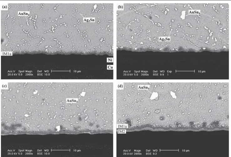 Figure 2b reveals that, after reflow, the needle- needle-shaped Ag 3 Sn precipitates resolidified into fine 