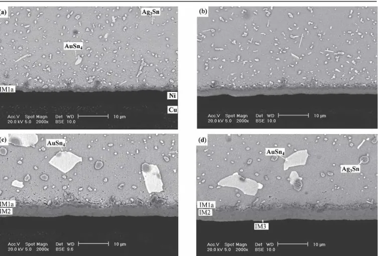 Fig. 5. Morphology of intermetallic compounds formed at the interfaces of the Sn3Ag0.5Cu solder joints on Au/Ni/Cu pads after aging at 150°C for various times periods: (a) 100 hr, (b) 300 hr, (c) 700 hr and (d) 1000 hr.