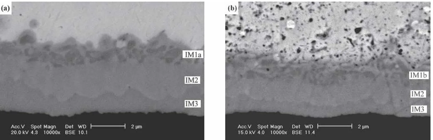 Fig. 6. Morphology of intermetallic compounds formed at the interfaces Sn3Ag0.5Cu (a) and Sn3Ag0.5Cu0.06Ni0.01Ge (b) solder joints on Au/Ni/Cu pads after aging at 150°C for 700 hr with a larger magnification.