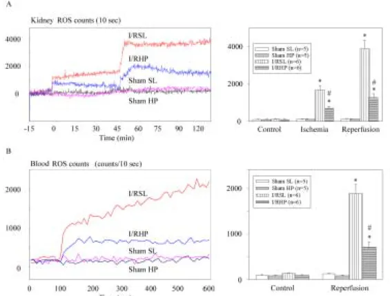 Fig. 3 ROS detection from rat kidney surface in vivo and from renal venous blood. A: 