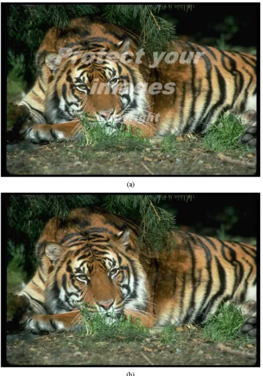 Fig. 6. Recovering the public domain image. (a) 768 2 512 watermarked image is embedded with a small watermark [17]