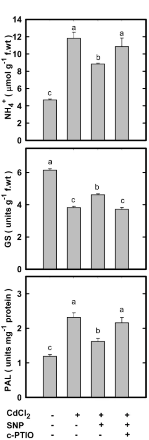 Figure 10. Effect of SNP on the content of NH 4 + , the activity of GS, and the specific activity of PAL in CdCl 2 -treated rice leaves in the presence or absence of c-PTIO