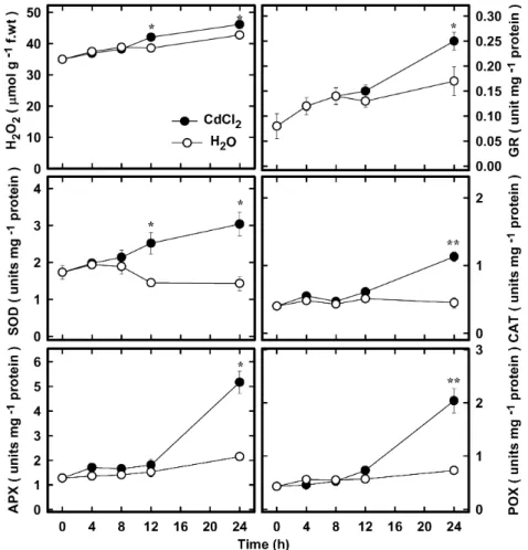 Figure 2. Changes in the contents of H 2 O 2 and the specific activities of SOD, APX, GR, CAT, and POX in rice leaves treated with CdCl 2 