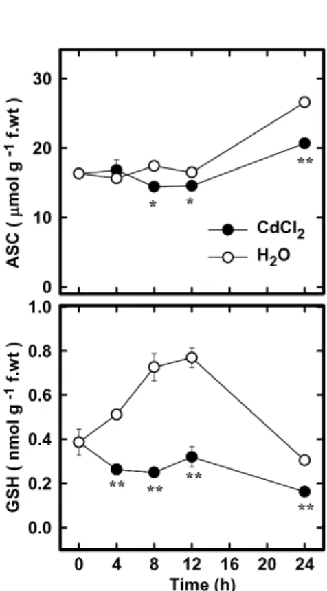 Figure 3. Changes in the contents of ASC and GSH in rice leaves treated with CdCl 2 . Detached rice leaves were treated with either water or 5 mM CdCl 2 in the light