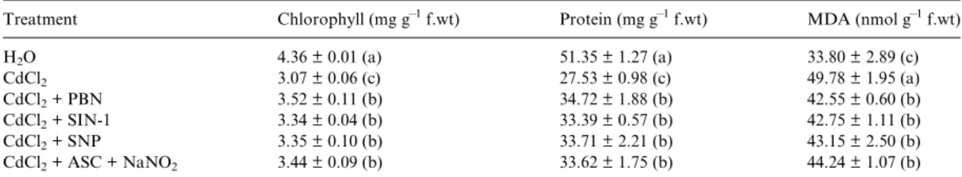 Table 1. Effect of NO donors on chlorophyll, protein, and MDA contents in rice leaves treated with CdCl 2 .