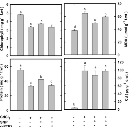 Figure 5. Effect of SNP on the contents of chlorophyll, protein, MDA, and Cd in CdCl 2 -treated rice leaves in the presence or absence of c-PTIO