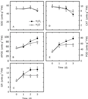 Figure 1.  Changes in the contents of protein (A), MDA (B), and H 2 O 2  (C) in rice leaves treated with H 2 O 2 