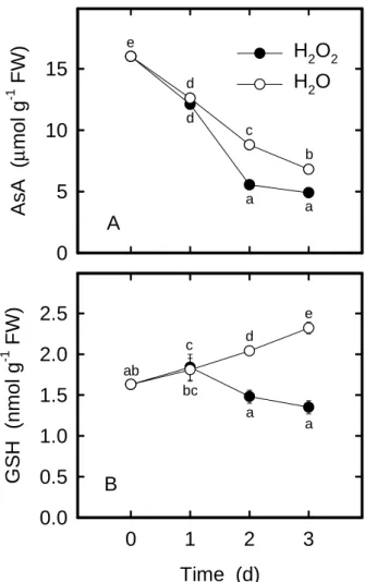 Table 1.  Effect of NO donors on protein content in rice leaves treated with H 2 O 2 