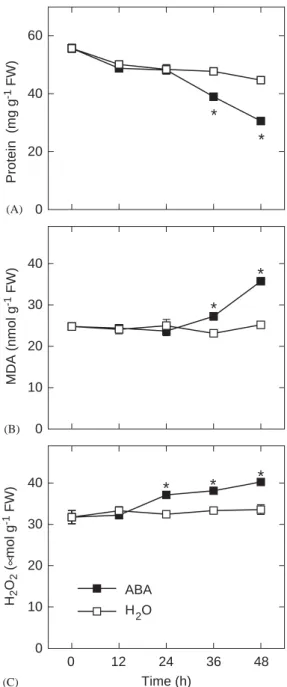Figure 1. Changes in the contents of protein (A), MDA (B), and H 2 O 2 (C) in rice leaves treated with either water or 45 mmol l 1 ABA in the dark