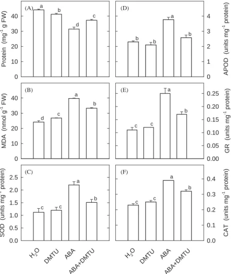 Figure 2. Effect of DMTU on the contents of protein (A), and MDA (B), and the activities of SOD (C), APOD (D), GR (E), and CAT (F) in rice leaves treated with ABA